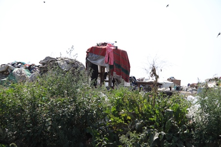 Хатки "місцевих" мешканців