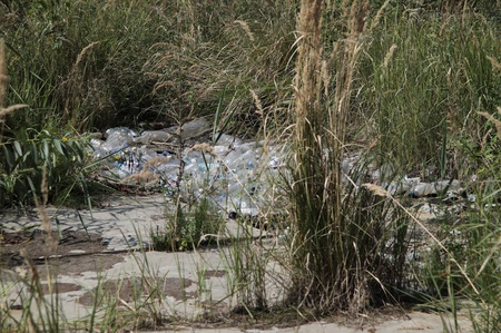 Поліетиленові пляшки, в які, можливо, наливатимуть молоко бабусі на базарах