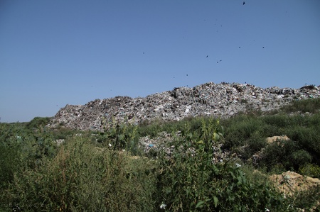 Гори сміття сягають до 50м. заввишки