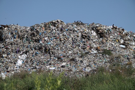 Вся ця нечисть обростає травою і стає непомітною