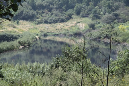 Гудронові токсичні озера
